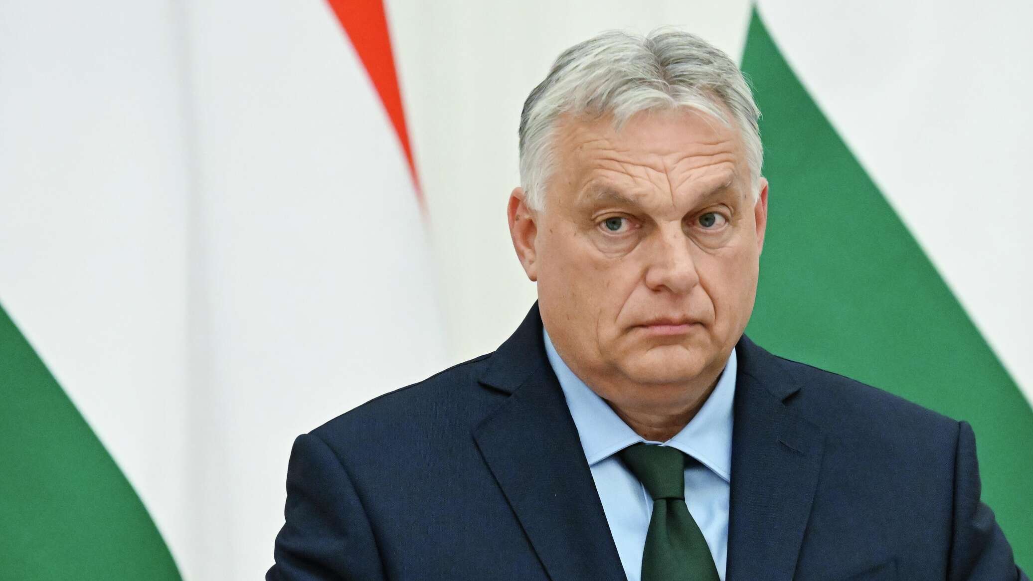Сүрөт: Sputnik Кыргызстан