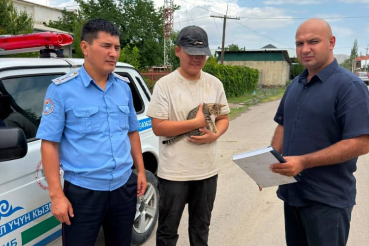 Подростка, пропавшего в Баткенской области, нашли в Таджикистане