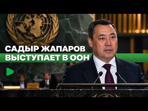 Фото: Номад ТВ (YouTube)