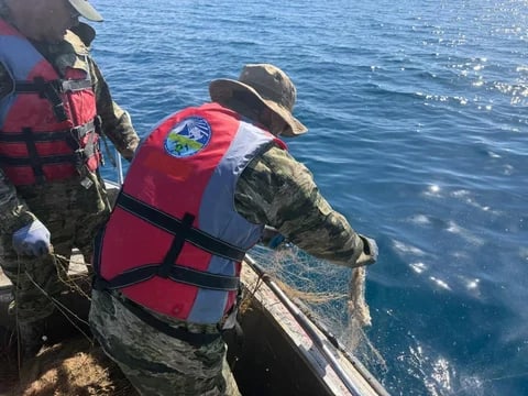 Фото: Кабар (рус.)