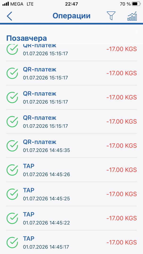 Бишкекте бир эле каттам үчүн акча тогуз жолу төлөнүп калды: «Тулпар» системасына нааразычылыктар