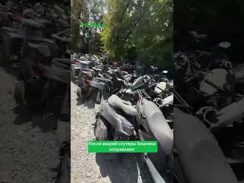 Кыргызстандагы эң адаттан тыш көрүстөн