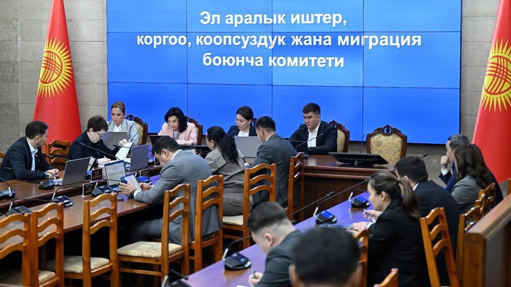 Кыргызстандын жаш балдарын ата-эненин макуคับтусуз чет өлкөгө чыгаруу тартиби жеңилделет: Ак ЖК комитети эки мыйзам долбоорун кароого берди