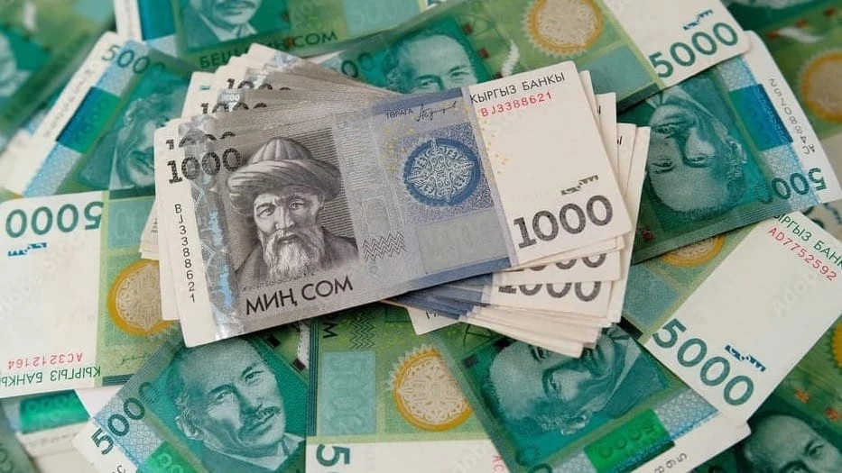 Кыргызстанда экологиялык айып пулдөрдүн ылдамдыгы 84% га жогорулады, текшерүүлөр азайган турушунда