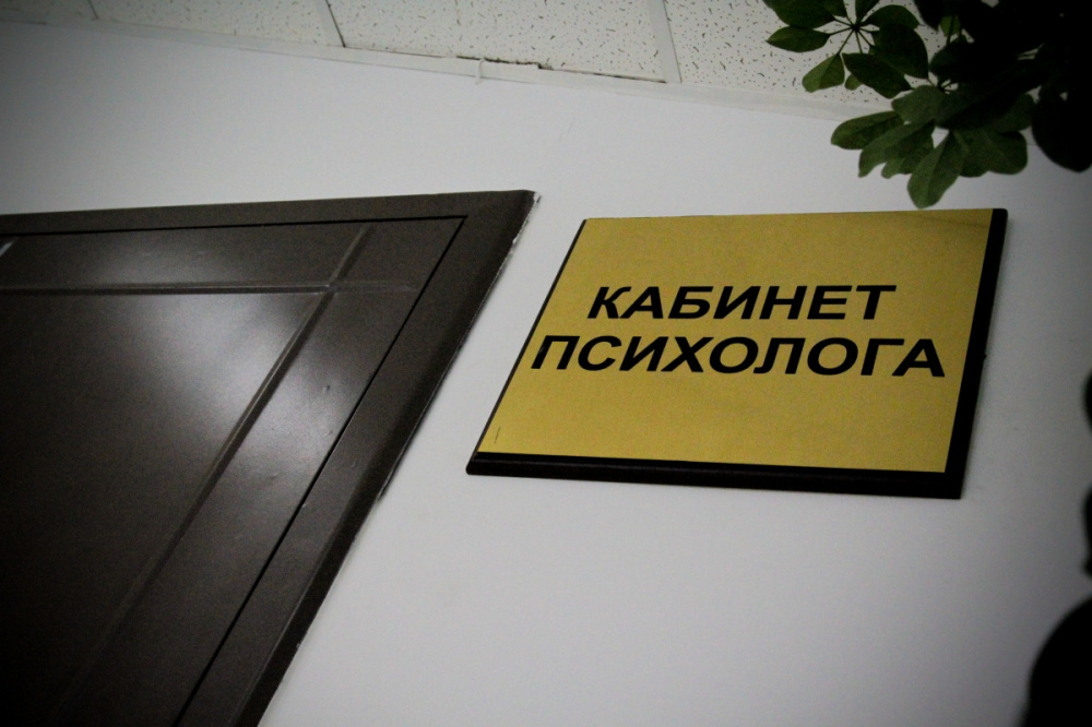 Сүрөт: Kaktus.media