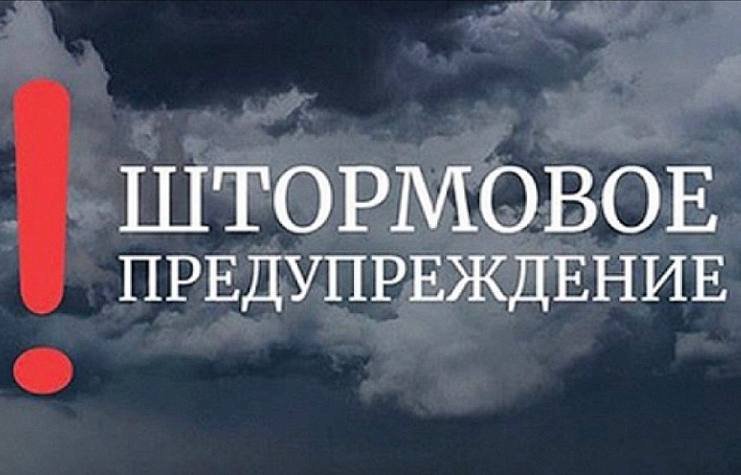 Сүрөт: Kaktus.media