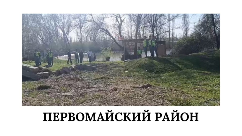 Сүрөт: Kaktus.media