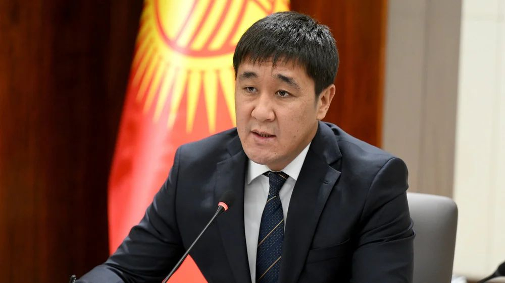 Кыргызстандагы антикытай постторуна каршы катуу чаралар көрүлөрү белгиленди