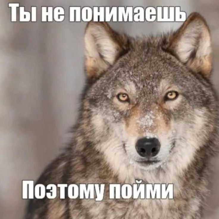 Сүрөт: Сейчас KG
