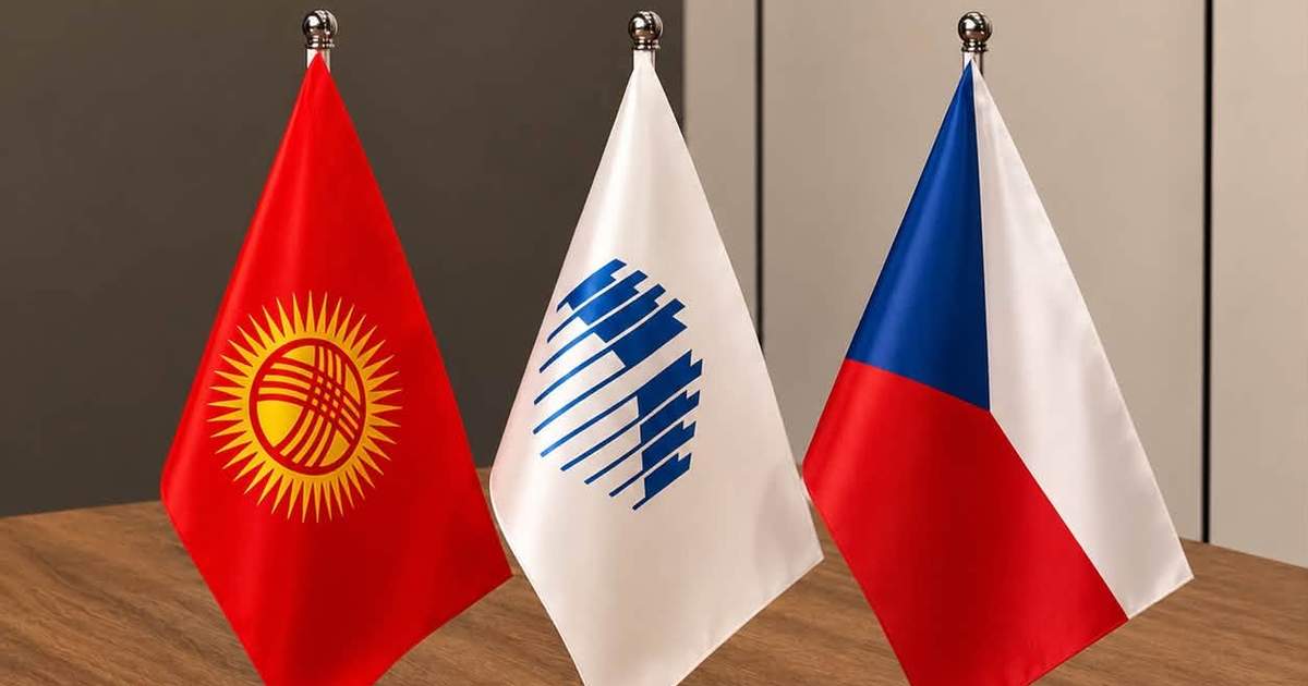 Кыргызстан и Чехия обсудили модернизацию аэропортов и развитие авиасообщения