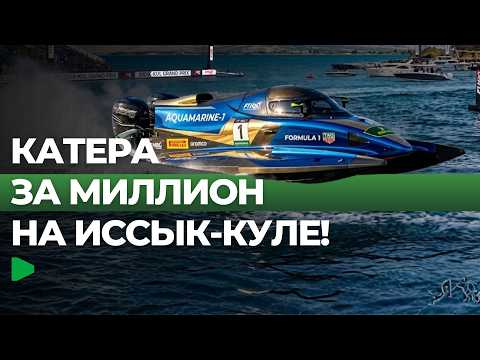 Фото: Номад ТВ (YouTube)