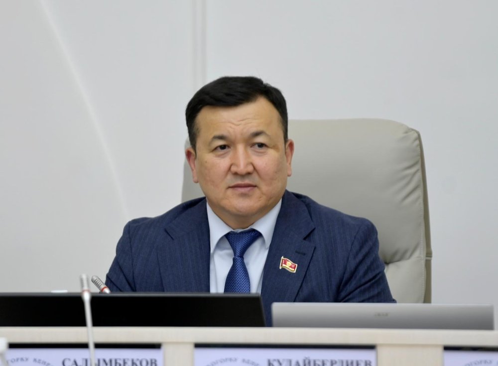 Сүрөт: Kaktus.media
