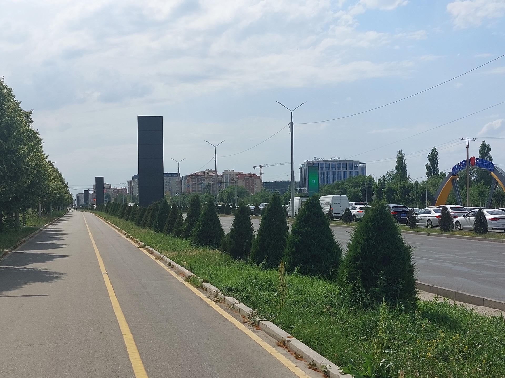 Бишкек шаарында көгөлжүү жаатында жаңы ыкмалар талкууланууда