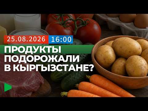 Фото: Номад ТВ (YouTube)
