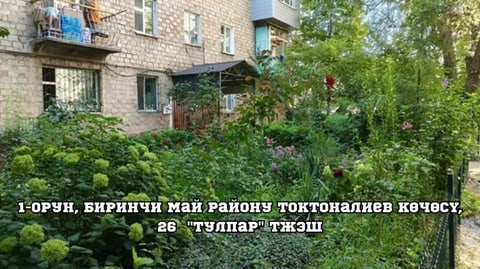 Фото: Кабар (рус.)