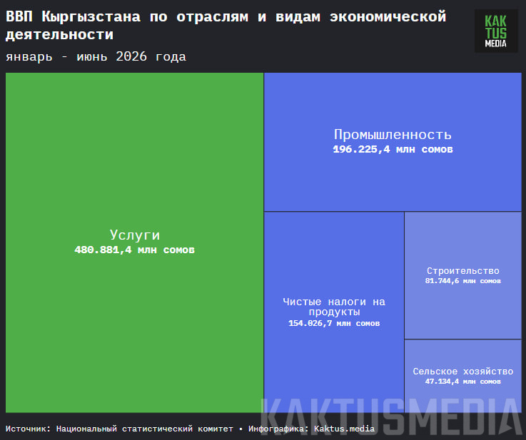 Сүрөт: Kaktus.media