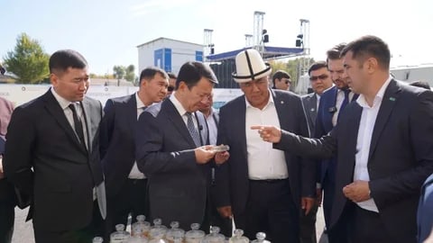 Сүрөт: Кабар (рус.)