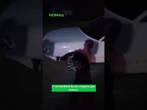 Кыргызстандык инспекторлордун көңүлүнөн каша албай калды