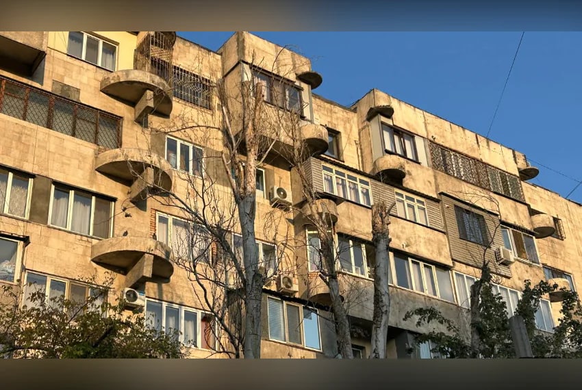 Жители Бишкека и мэрия расходятся во мнениях о санитарной вырубке деревьев