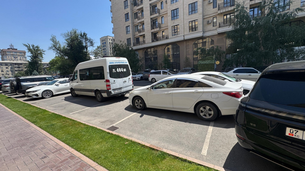 Сүрөт: Kaktus.media