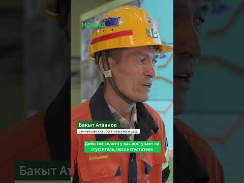 Сүрөт: Номад ТВ (YouTube)