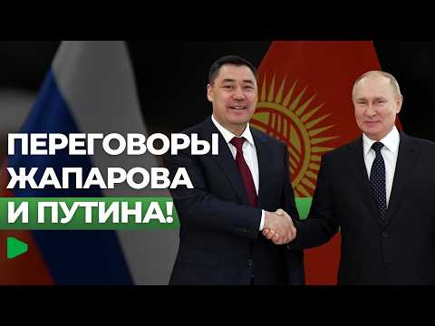 Фото: Номад ТВ (YouTube)