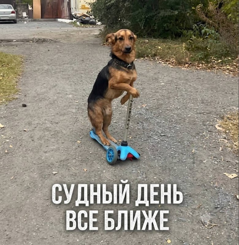 Сүрөт: Сейчас KG