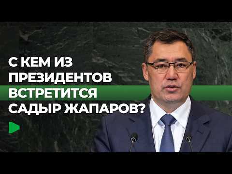 Фото: Номад ТВ (YouTube)