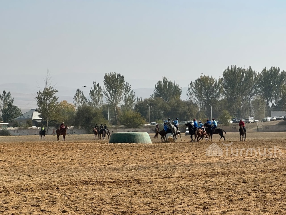 Сүрөт: Turmush