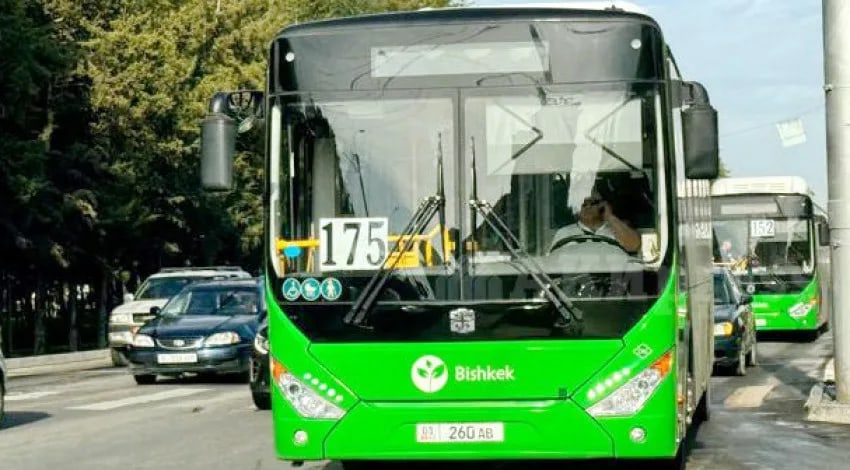 Фото: Knews.kg