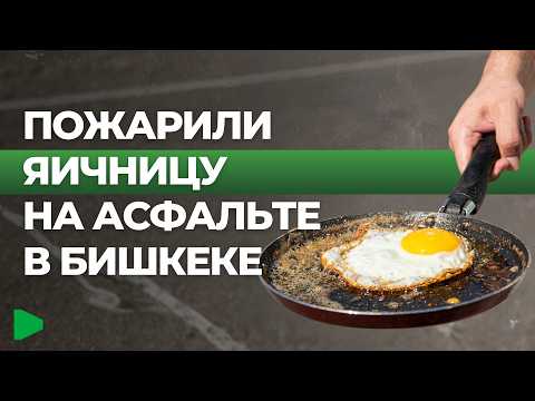 Фото: Номад ТВ (YouTube)