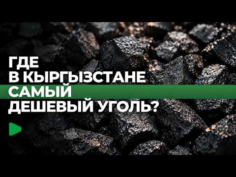 Фото: Номад ТВ (YouTube)