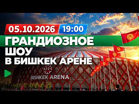 Фото: Номад ТВ (YouTube)