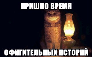 Камчыбек Ташиевдин адвокаты Дайырбек Орунбековдун билдирүүсүнө каршы чыгышты