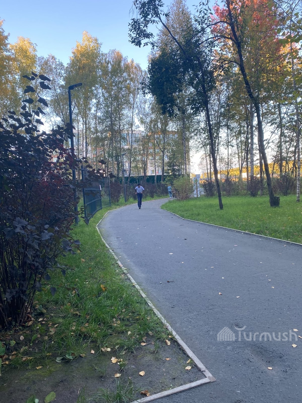 Сүрөт: Turmush