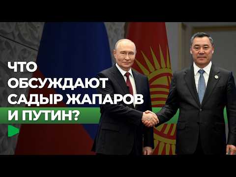Фото: Номад ТВ (YouTube)