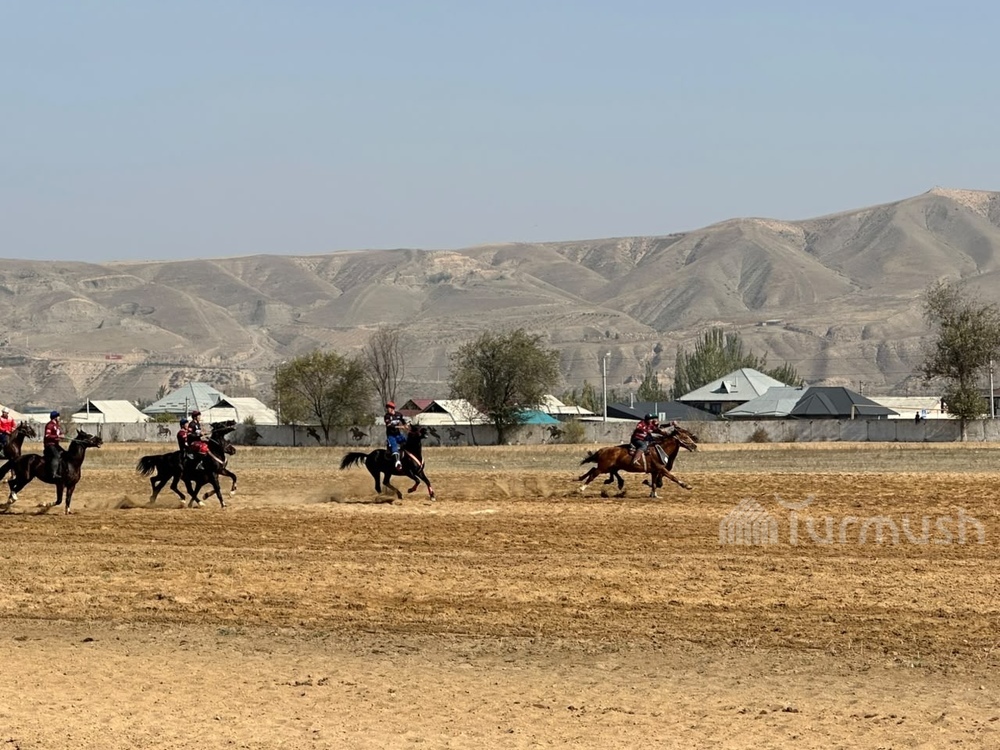 Фото: Turmush