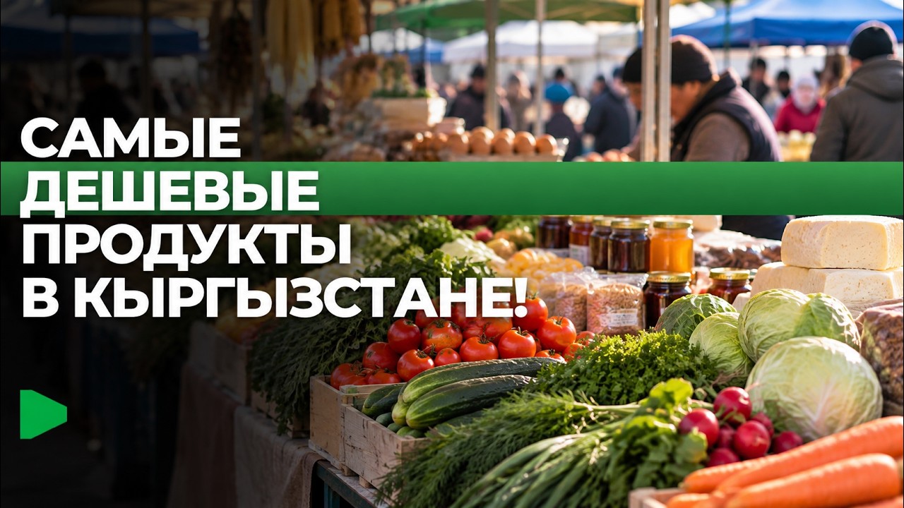 Сүрөт: Номад ТВ (YouTube)