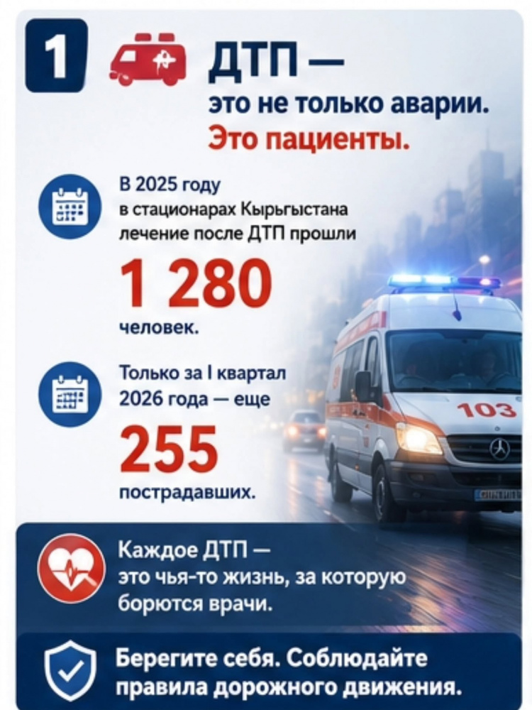 Сүрөт: Kaktus.media