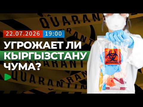 Сүрөт: Номад ТВ (YouTube)
