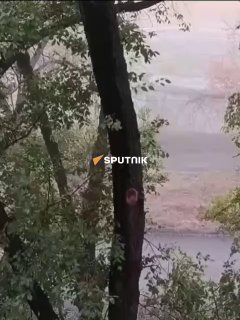 Сүрөт: Короче, KG