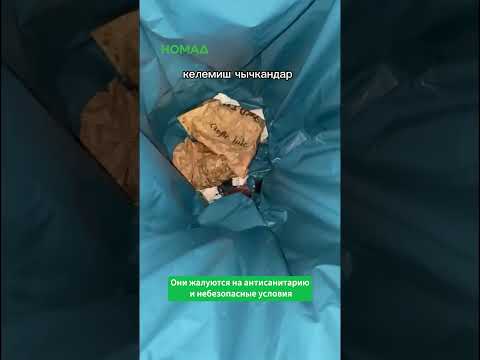 Сүрөт: Номад ТВ (YouTube)