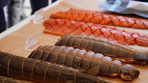 Сүрөт: Кабар (рус.)