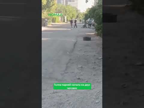Сүрөт: Номад ТВ (YouTube)