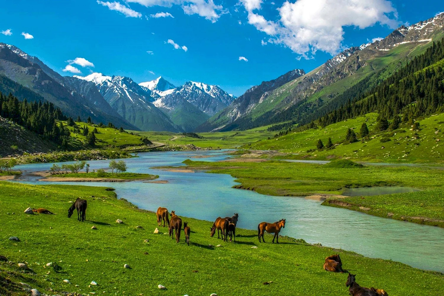 Фото: Tazabek