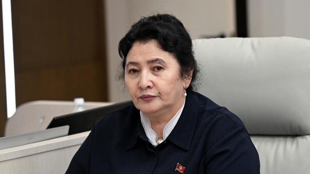 Айсаракан Абдибаевага каршы петиция: депутаттык мандатты алатпайбы жана парламентте кандай сөз болот?