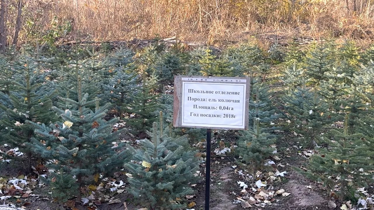 Фото: Кабар (рус.)