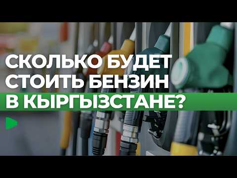 Фото: Номад ТВ (YouTube)