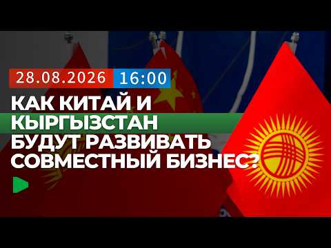 Фото: Номад ТВ (YouTube)