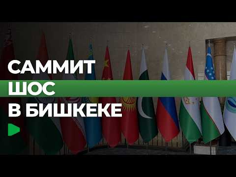 Фото: Номад ТВ (YouTube)